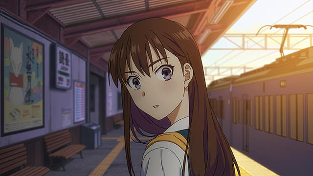 この本を盗む者は