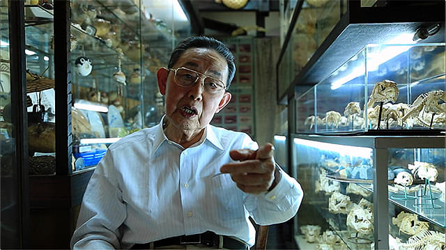 GUN FISH あなたの知らないフグの世界