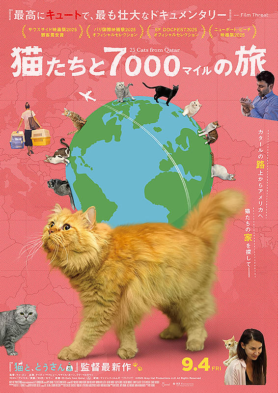 猫たちと7000マイルの旅