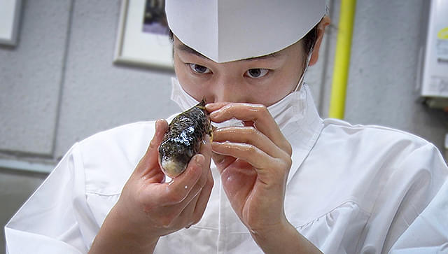 GUN FISH あなたの知らないフグの世界