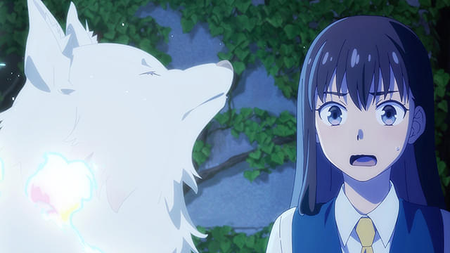 この本を盗む者は