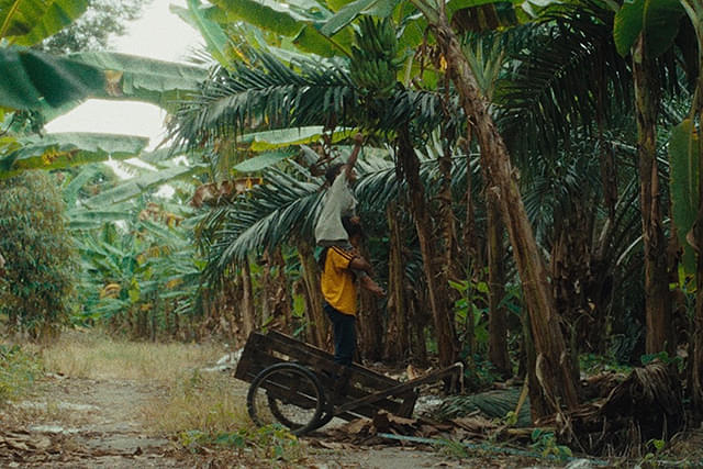 LOST LAND ロストランド