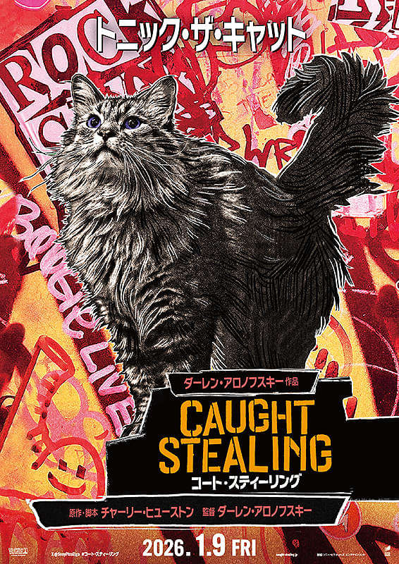 コート・スティーリング